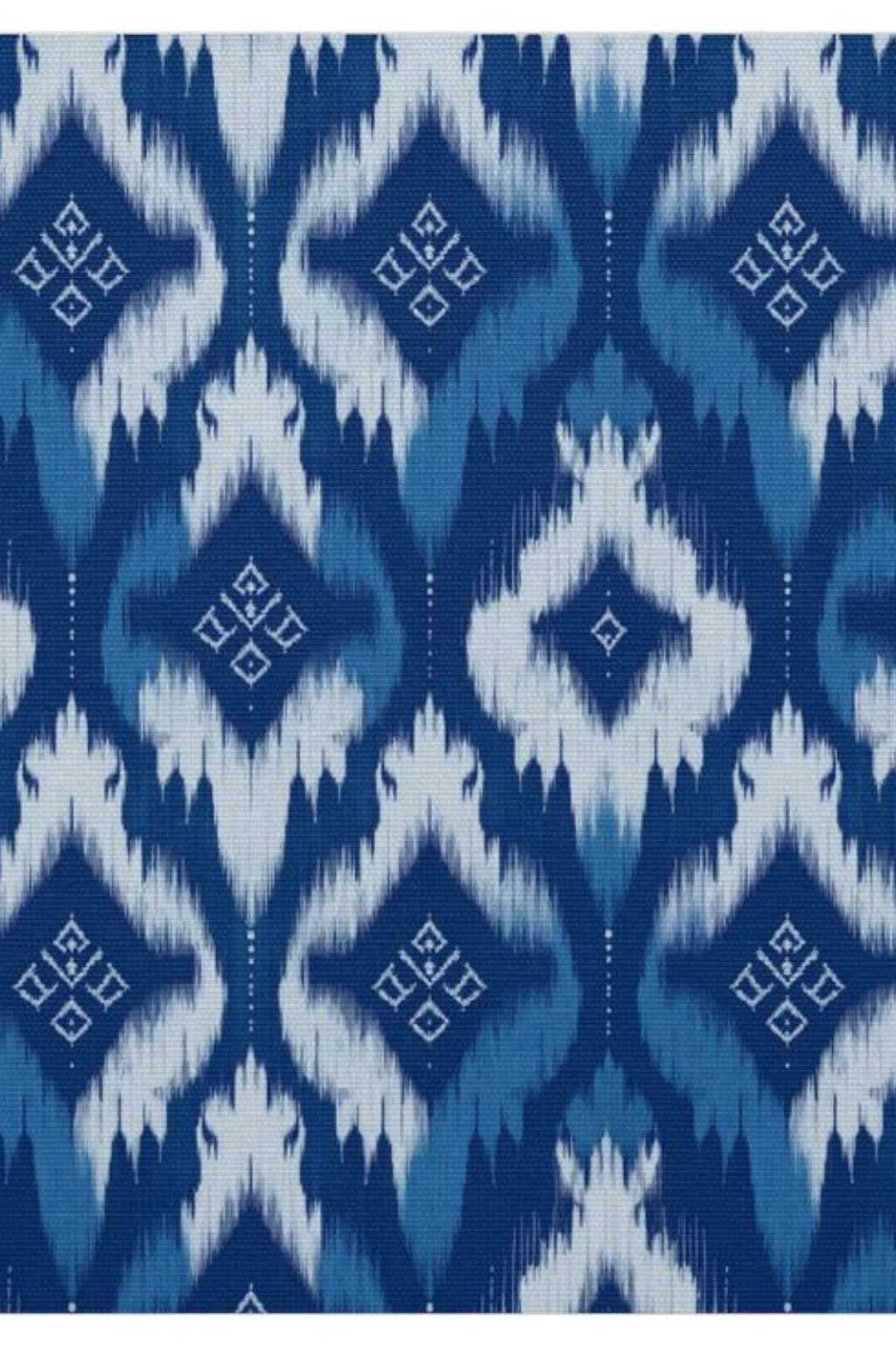 Neelam Ikat Printed Kurta